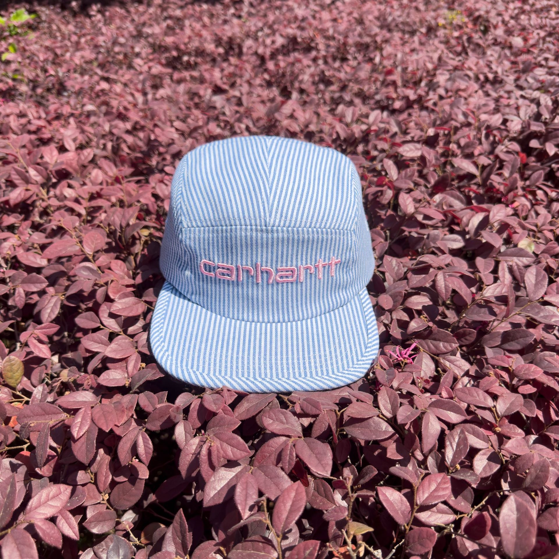 Carhartt Adjustable hat